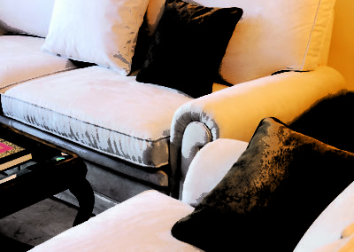 27. DETALLE LINCE 01 0000