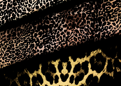 2. COLORIDO PIELES Laukinių gyvūnų raštai.