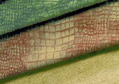 1. PIELES Gyvačių raštai.